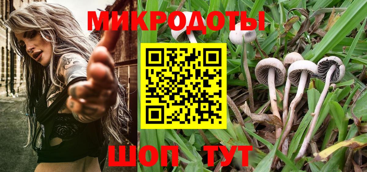 Галлюциногенные грибы Psilocybine cubensis  Вход с VPN  Абинск 